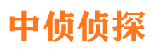 灵台侦探公司